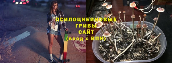 трава Абаза