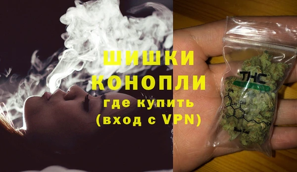 трава Абаза