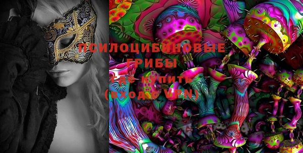 соль ск Михайлов