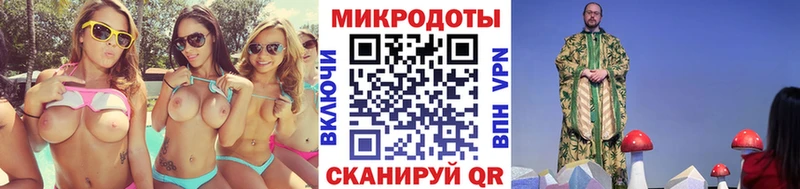 Галлюциногенные грибы Psilocybine cubensis  Дербент 